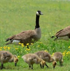 humans are made better by inspirational quotes